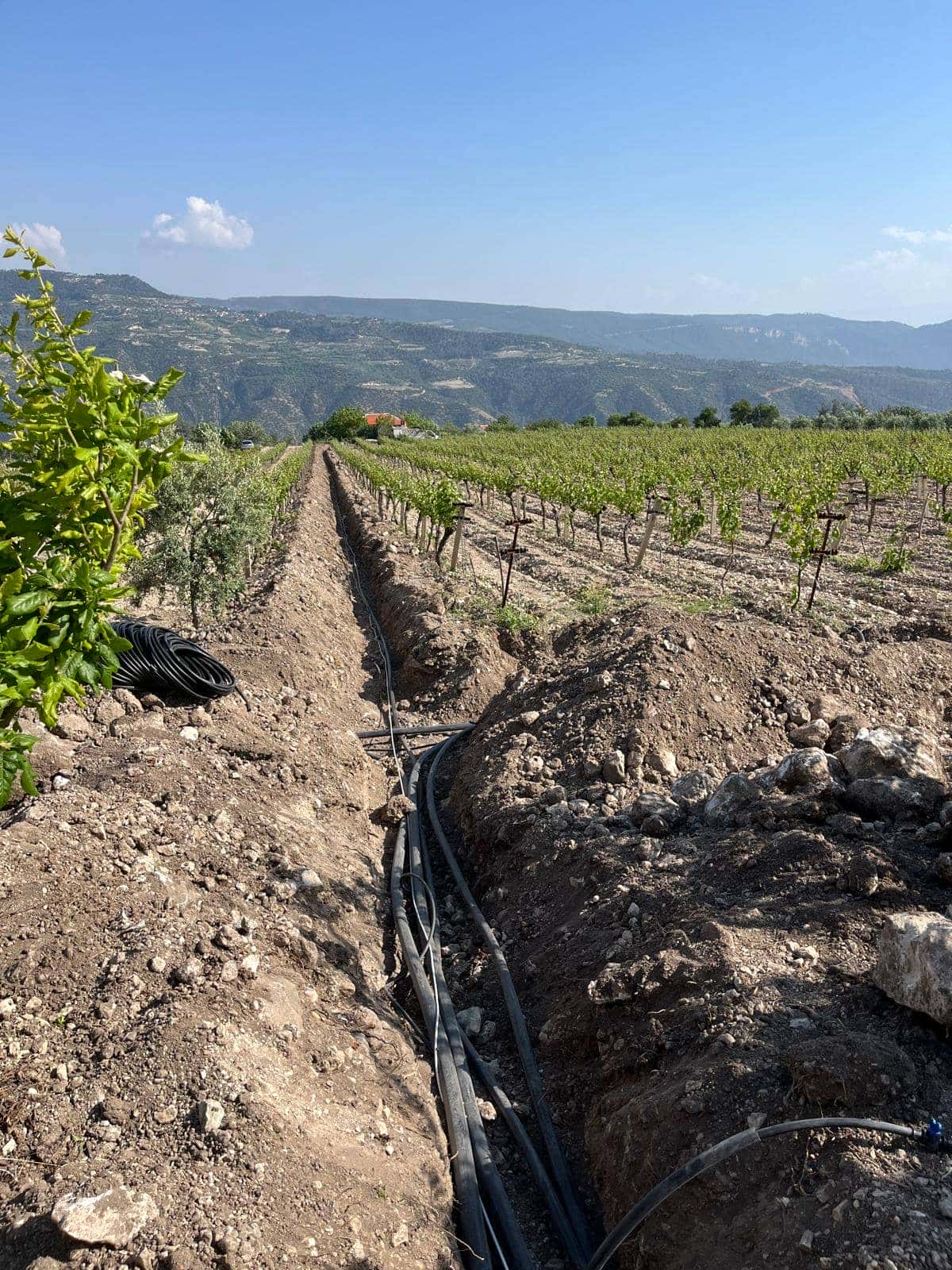 Sulama Projesi
