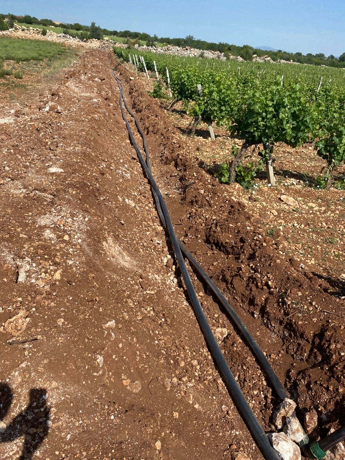 Sulama Projesi